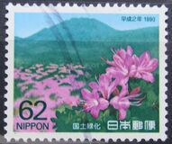 [National Afforestation Campaign, Tüüp CDR]