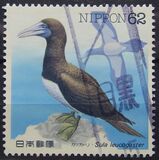[Water Birds - Latham's Snip & Brown Booby, type CHF]