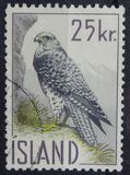 [The Icelandic Falcon, type EV]