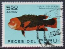 [Peruvian Fish, type TR]