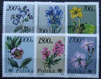 [Protected Plants and Flowers from the Botanical Gardens of Warsaw University, type DDM]