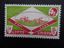 [Sports, type MO]