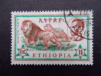 [Ethiopian Fauna, type MM]