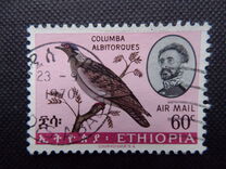 [Airmail - Ethiopian Birds, type QA]
