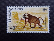 [Animals, type ZL]