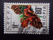 [Ethiopian Flowers, type AAH]
