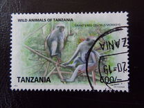 [Wild Animals of Africa, 类型 GCR]