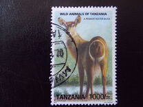 [Wild Animals of Africa, 类型 GCV]