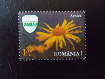 [Flora & Fauna - Ceahlau National Park, type KFM]