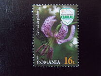 [Flora & Fauna - Ceahlau National Park, type KFT]