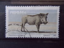 [Wild Mammals, type MG]