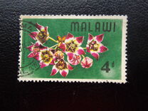 [Wild Flowers, type AY]