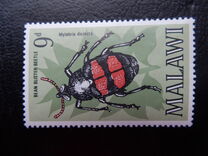 [Insects of Malawi, type CJ]
