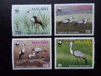 [Wattled Crane, ประเภท OV]