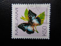 [Butterflies, type XXL]
