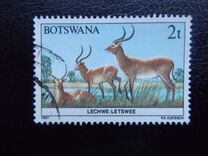 [Animals of Botswana, type ON]