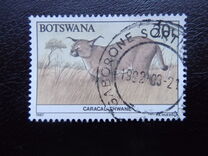 [Animals of Botswana, type OW]