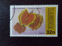 [World Forestry Day - Seeds, type HM]