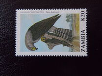 [Birds, type RV]