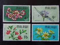 [Wild Flowers, type AY]