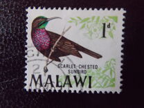 [Birds, type BK]