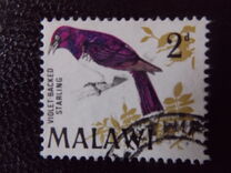 [Birds, type BL]