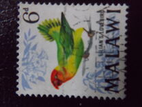 [Birds, type BO]