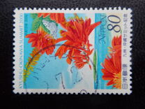 [Kyushu-Okinawa Summit, type DQO]