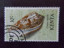 [Seashells, type AW]