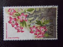 [Flowers, type IN]
