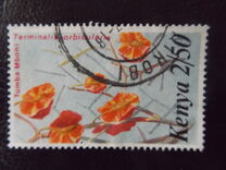 [Flowers, type IO]