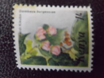 [Flowers, type MA]