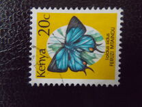 [Butterflies, type OY]