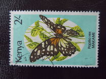 [Butterflies, Вид PE]