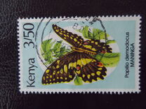 [Butterflies, Вид PH]