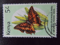 [Butterflies, Вид PJ]
