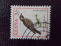[Birds, type VD]