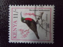 [Birds, type VI]