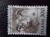 [Domestic Animals, type MR]