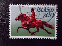 [Icelandic Pony with Rider, type MV]