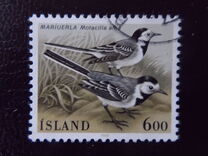 [Birds, タイプ OZ]