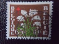 [Plants - The struggle against Tuberculosis, Tip PP]