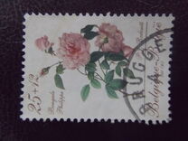 [Roses, tip BNL]