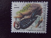 [Birds, type BNH]