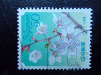 [Flowers, type HTJ]