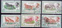 [Ethiopian Fauna, тып MH]