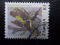[Birds, type RR]