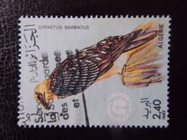 [Nature Protection, typ TX]