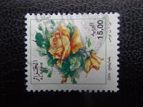 [Roses, tip ARB]