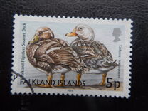 [Birds, type ADW]